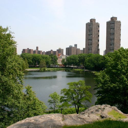 magnet fishing in New York City