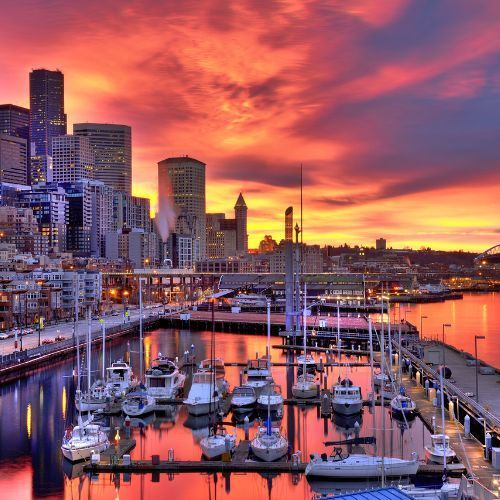 magnet fishing in Seattle