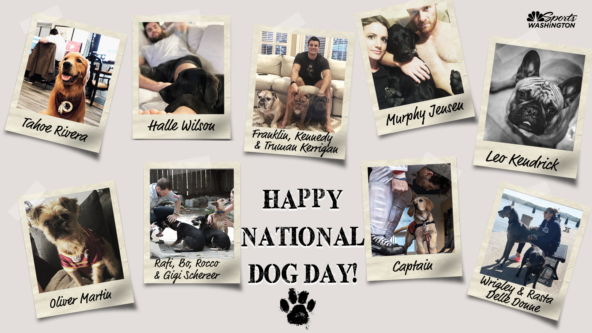 National Dog Day graphic