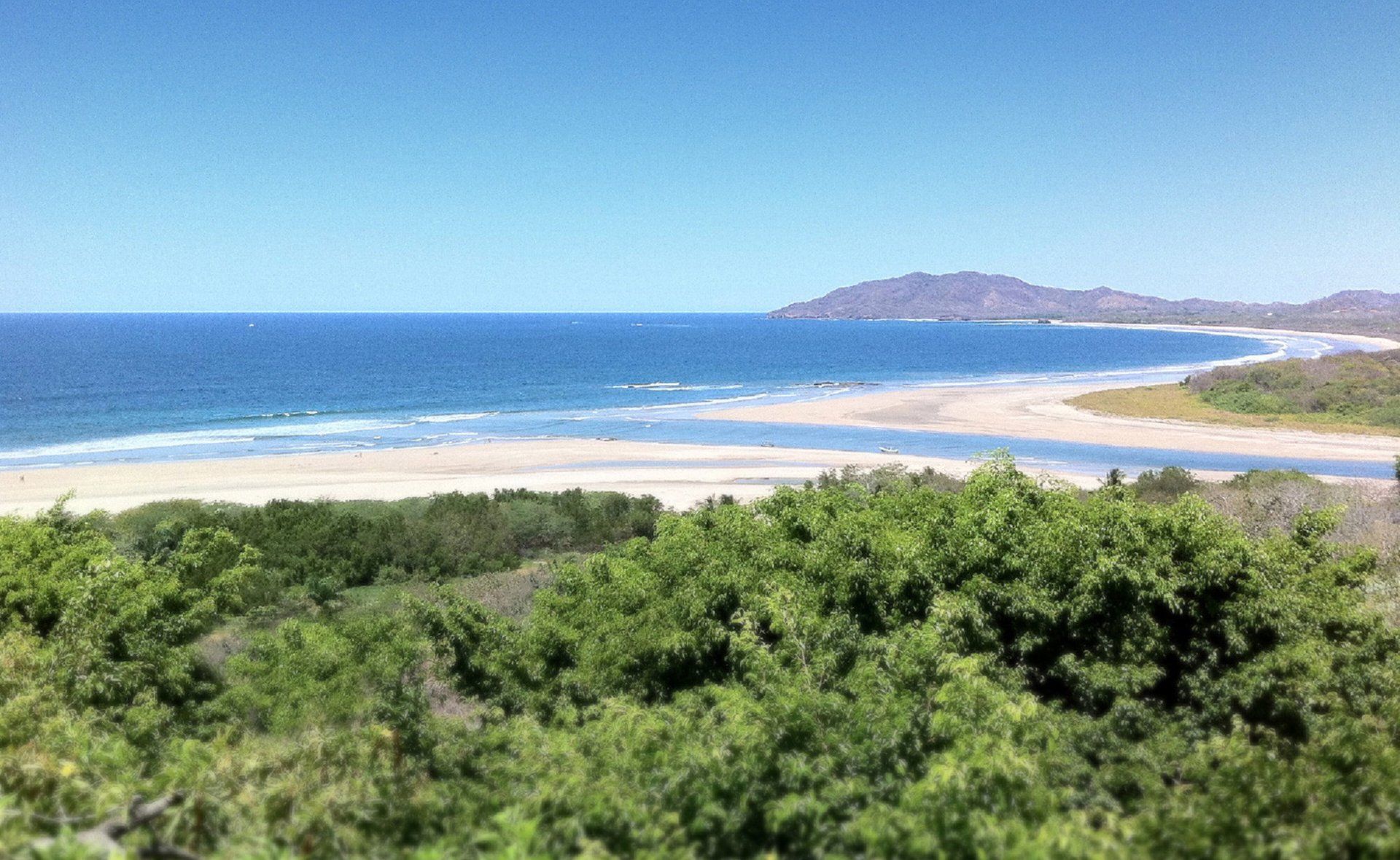 A view of a beach with trees in the foreground and a body of water in the background.