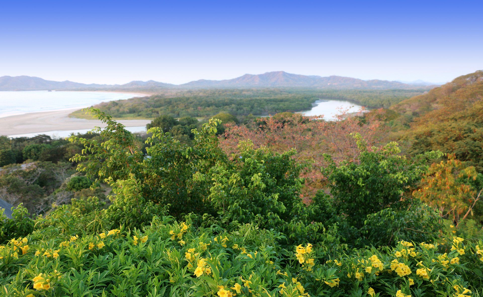 A view of a river surrounded by trees and flowers