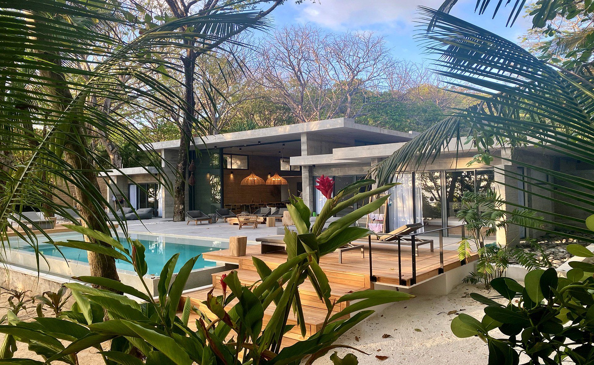 A house with a swimming pool is surrounded by trees and plants.