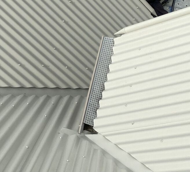 A close up of a gutter with leaves on it — Glenroofing Pty Ltd In Taree, NSW