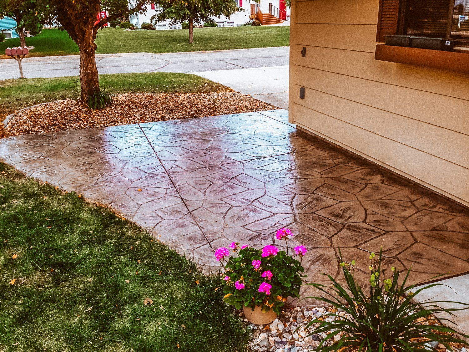A concrete walkway with pink flowers in front of a house.