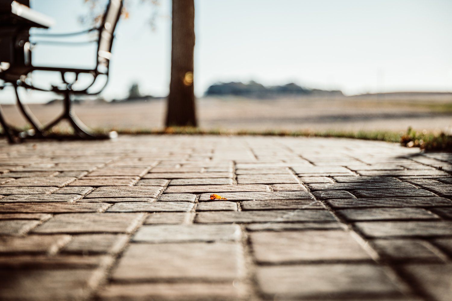 A brick walkway with a bench and a tree in the background.