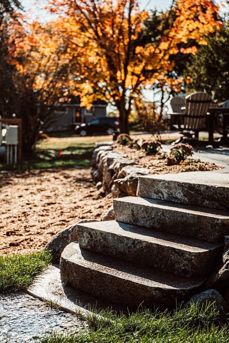 A set of stone stairs leading up to a house with a tree in the background.