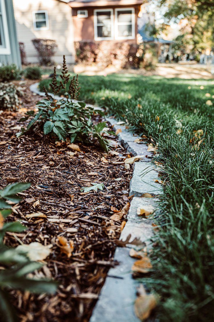 A lawn with a concrete curb and mulch in front of a house.