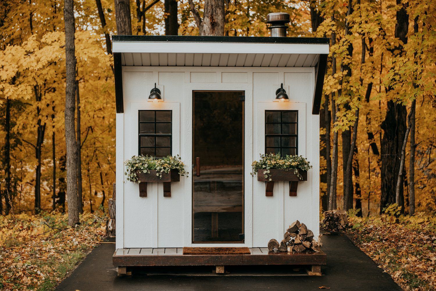 A small white shed is sitting in the middle of a forest.