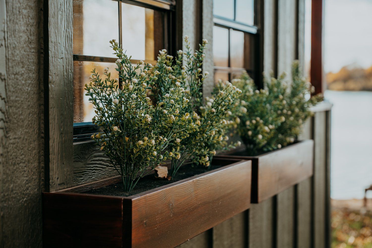 A window box with plants in it on the side of a house.