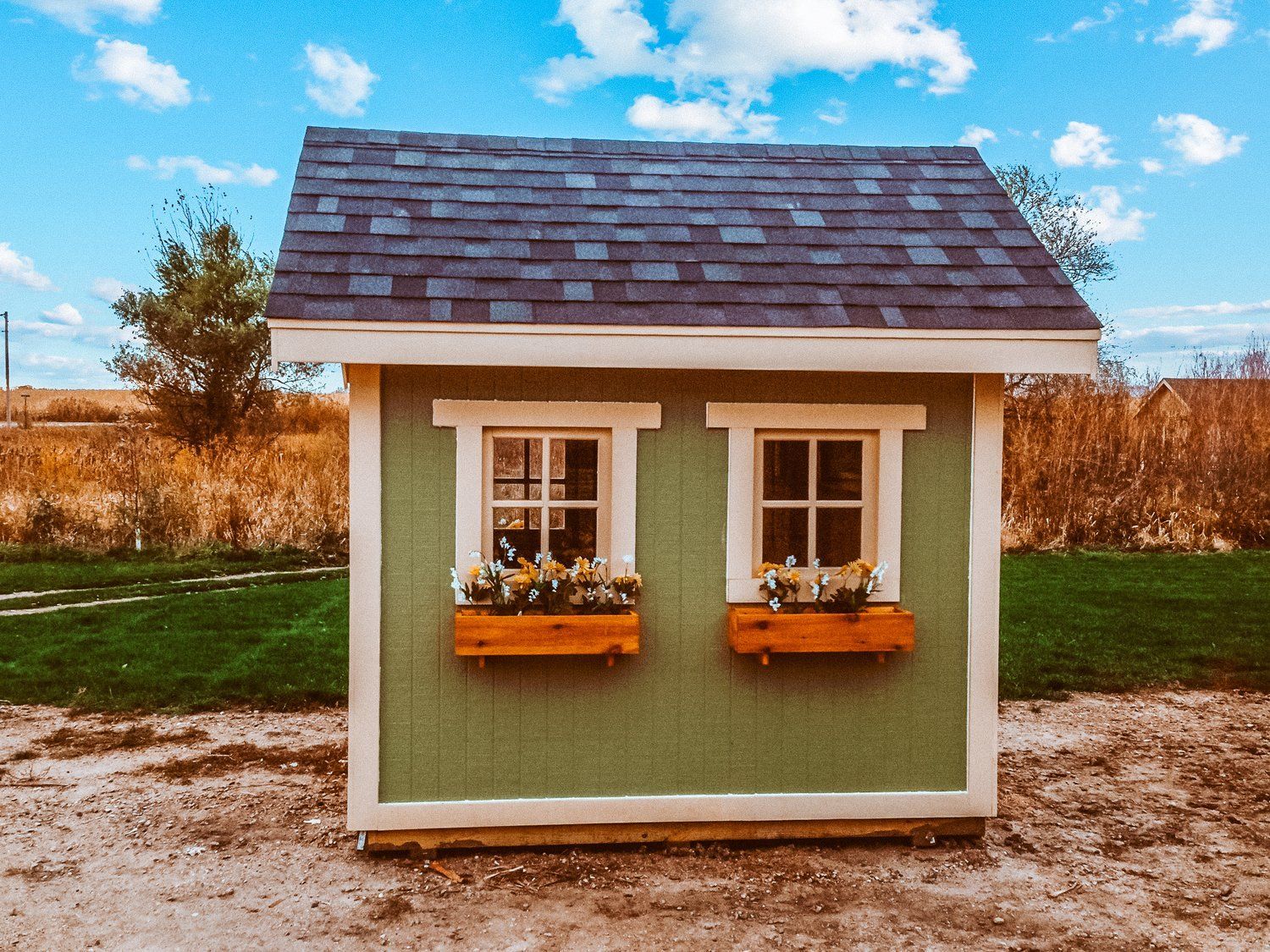 A green shed with two windows and flowers in the windows