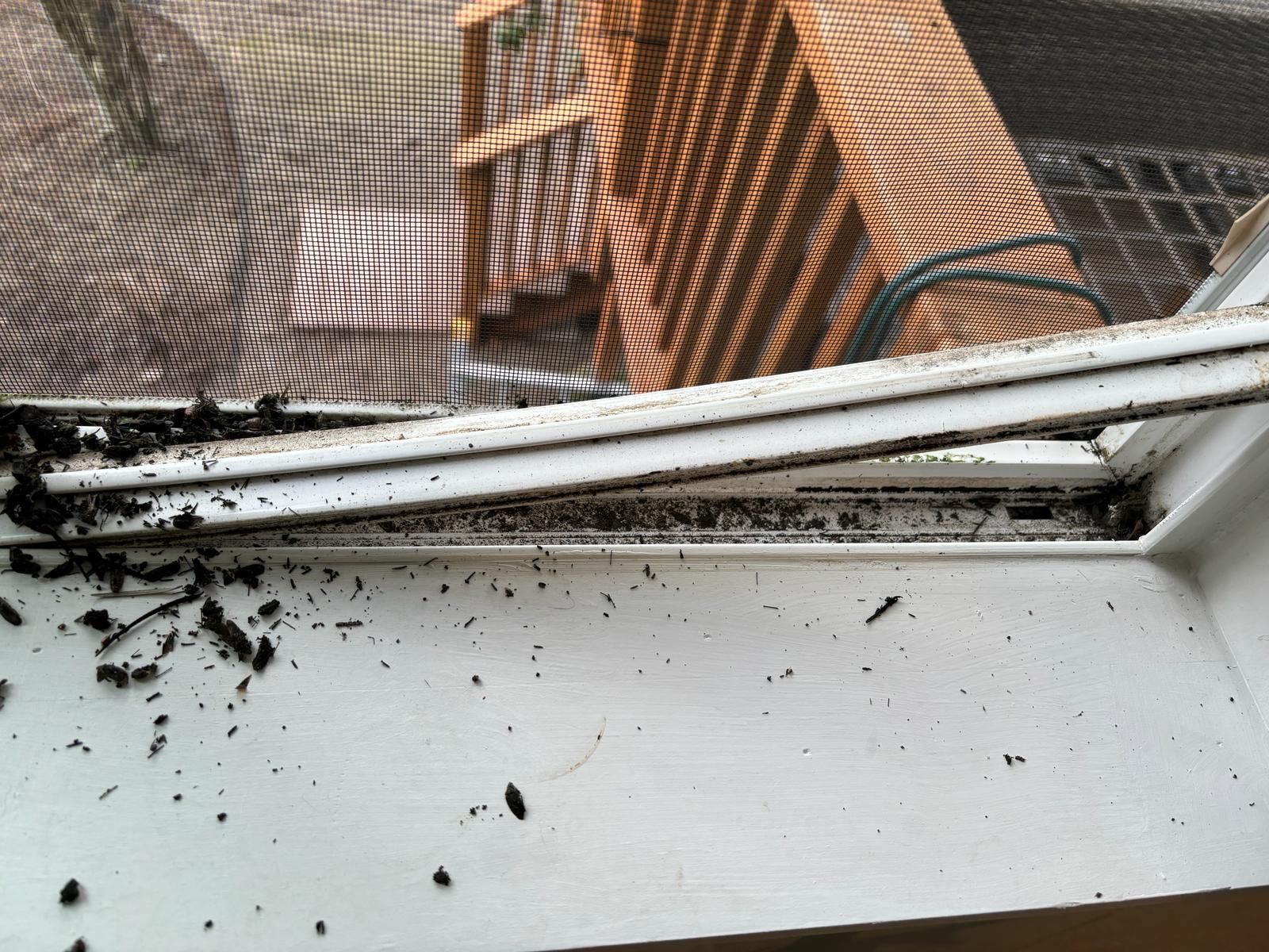 A window with a screen and a lot of bugs on it