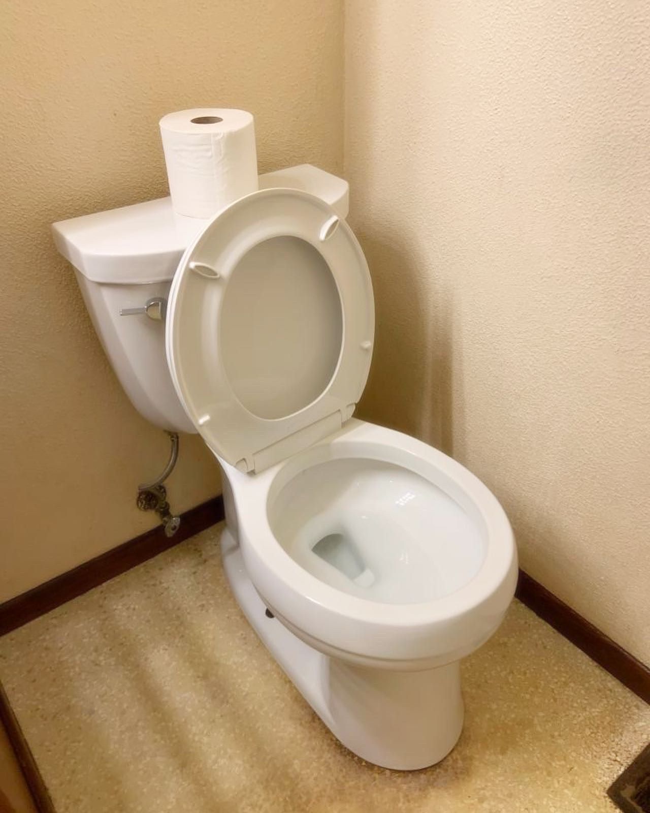 A toilet with a roll of toilet paper on top of it