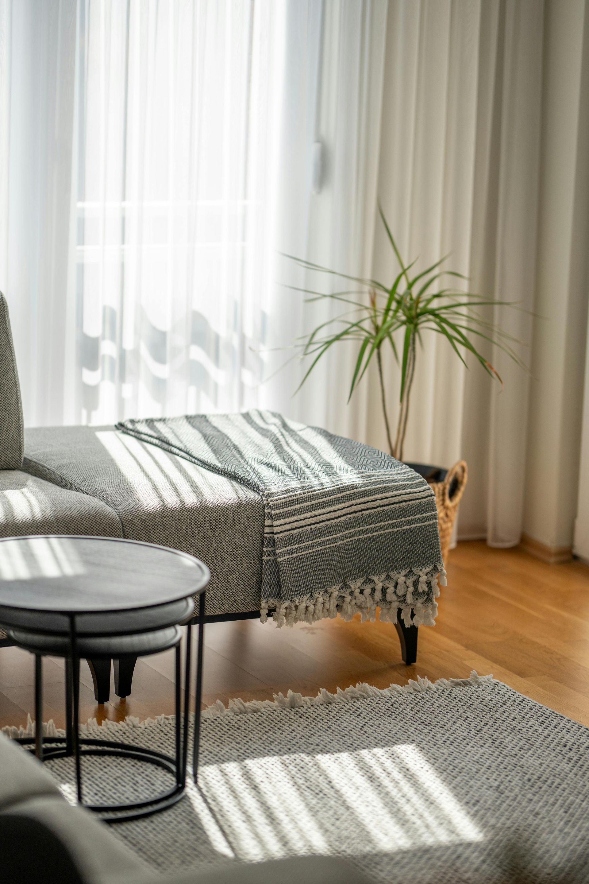 Bright living room with a black chair, woven rug, potted plant, and sunlight through sheer curtains.