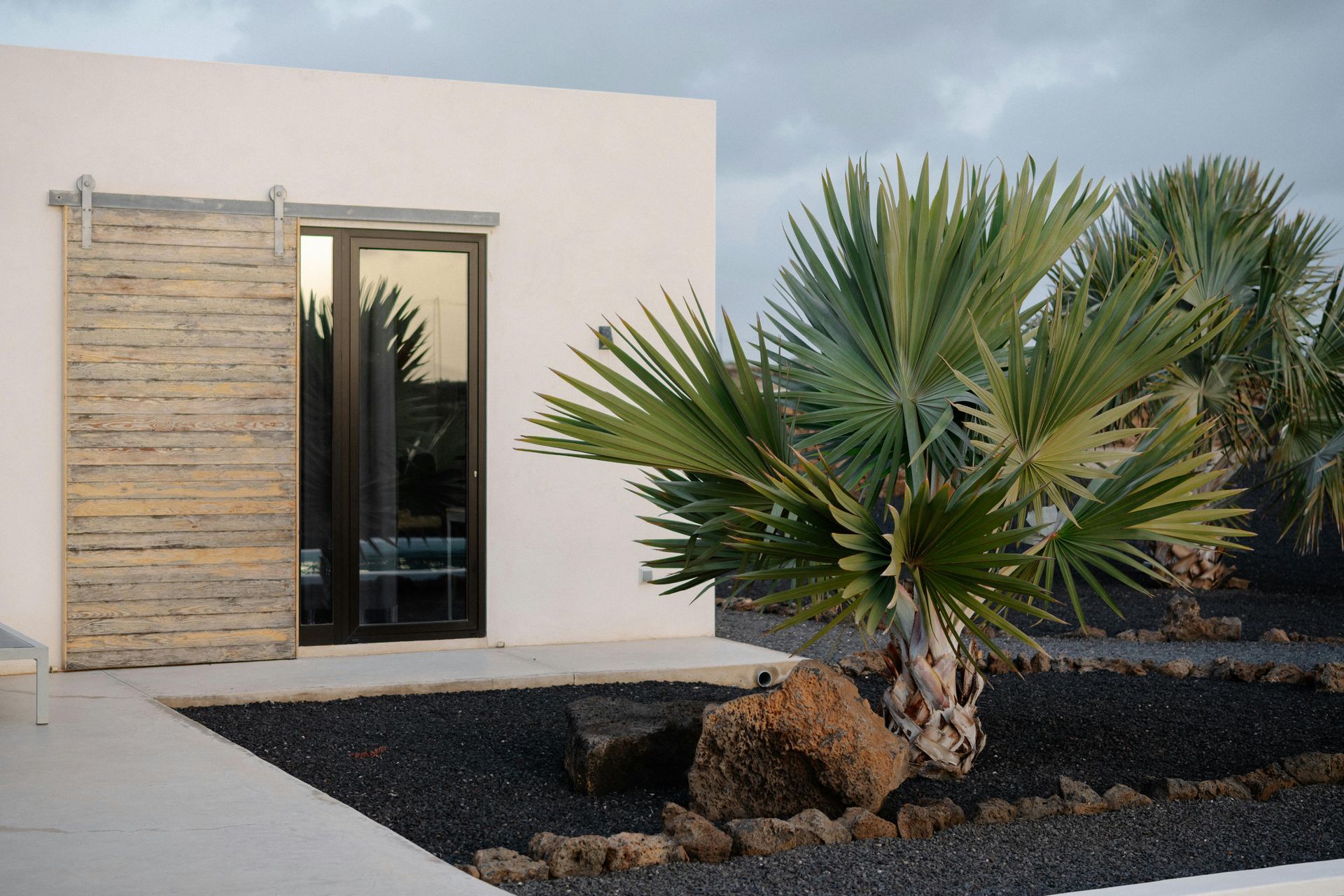 Modern house entrance with a glass door, wood paneling, and desert landscaping with a palm tree.