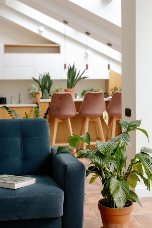 Bright living room with teal armchair, potted plant, and dining table with pink chairs under slanted windows