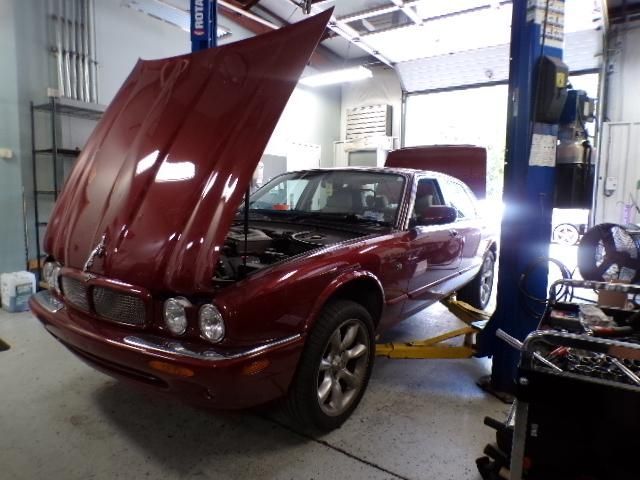 A red car with the hood up is on a lift | Import Specialty Service