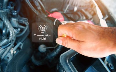 Mercedes Transmission Fluid Level Check