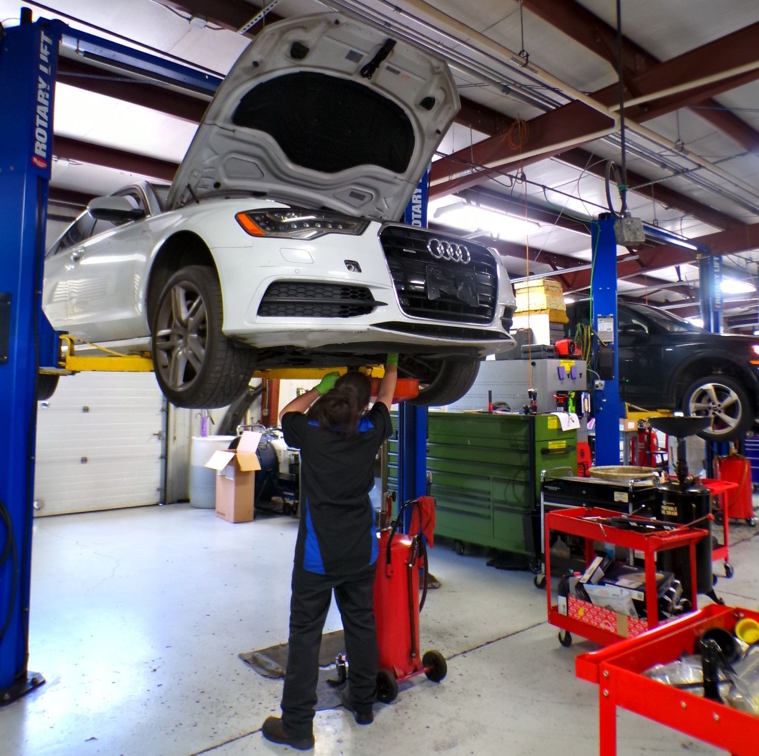 Audi | Import Specialty Service