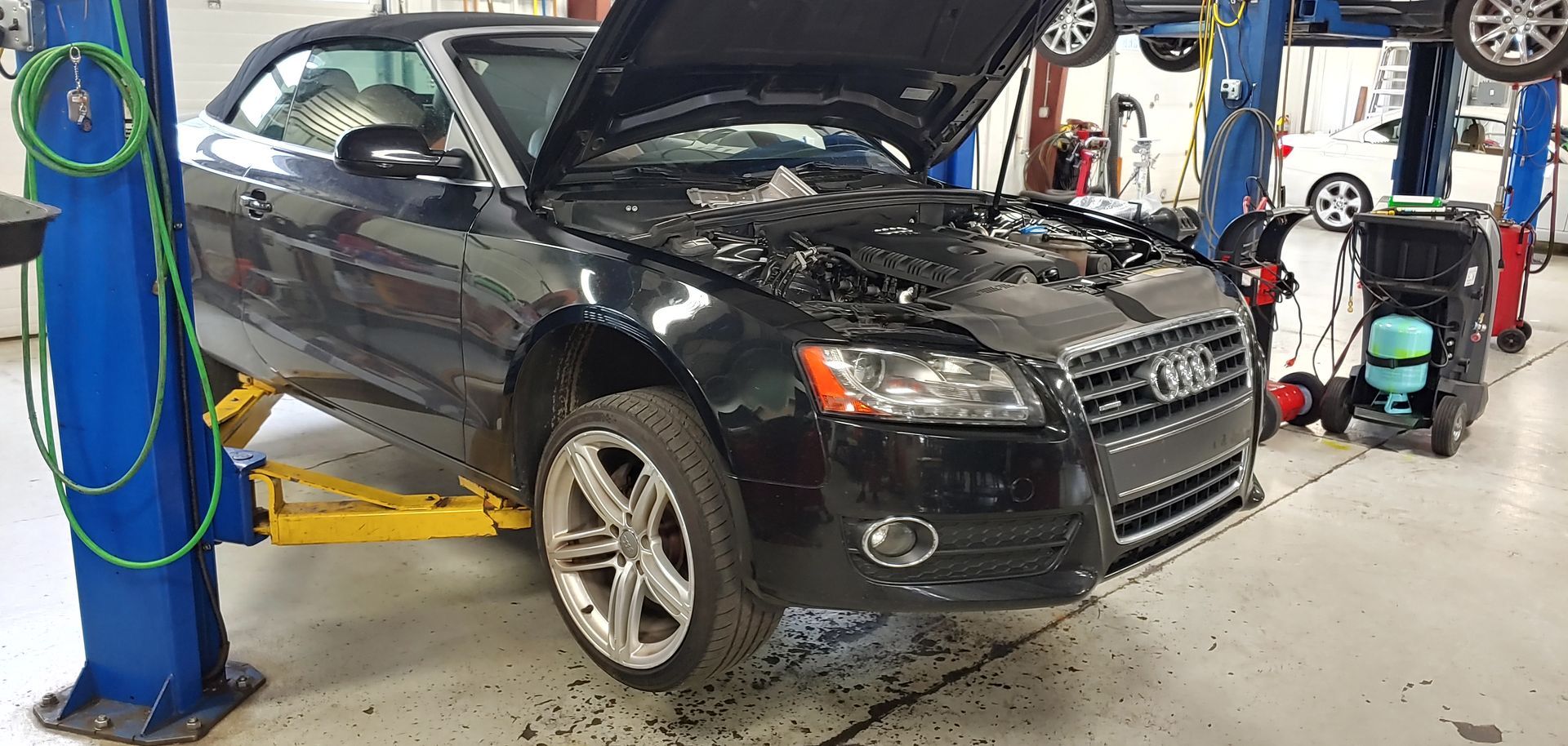 A black car with the hood up is on a lift in a garage. | Import Specialty Service
