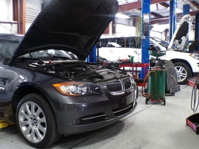 A car with its hood up is in a garage | Import Specialty Service