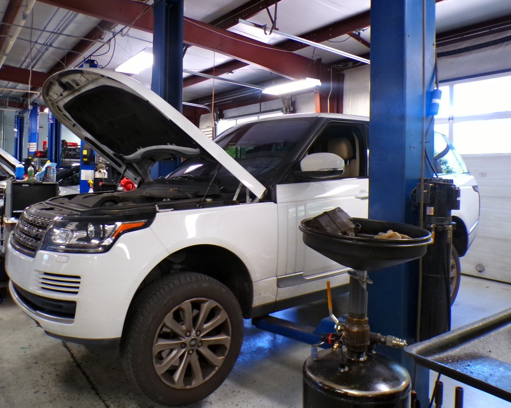A white car with the hood up is on a lift in a garage. | Import Specialty Service