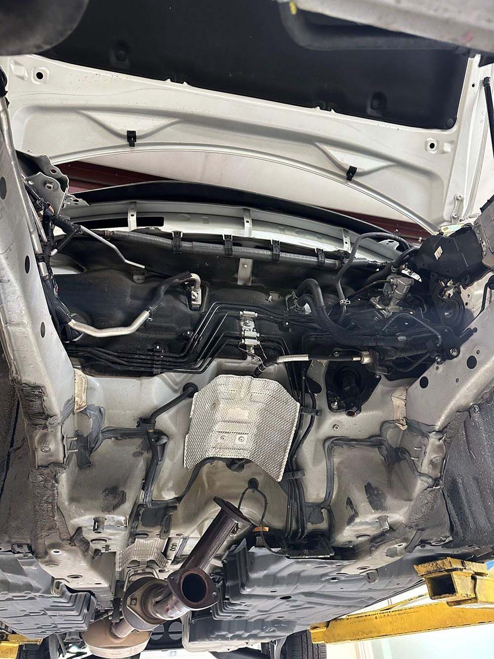 The underside of a white car is shown with the hood open. | Import Specialty Service | Import Specialty Service