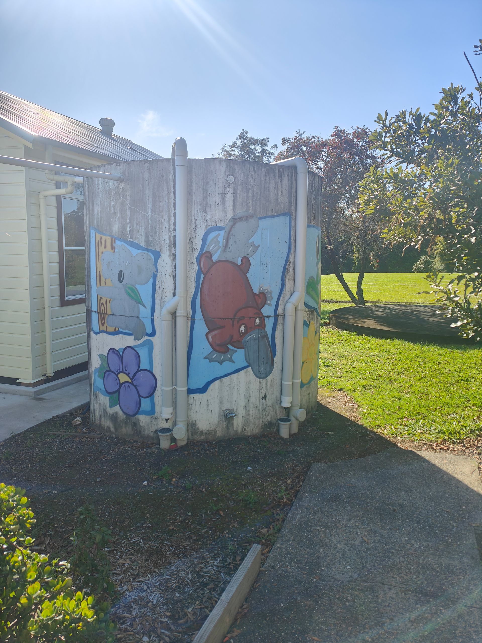 A water tank with a painting of a bear and a flower on it - Hastings Water Care in Port Macquarie NSW