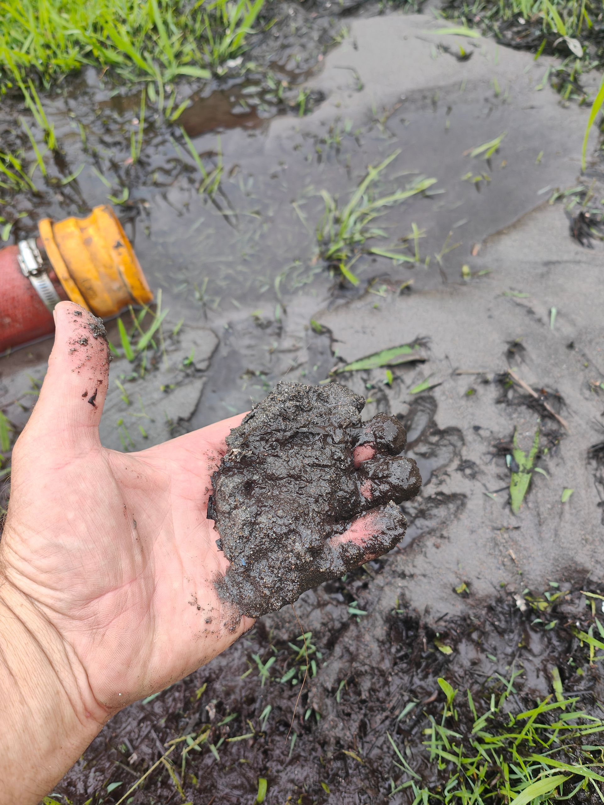 A person is holding a pile of dirt in their hand. - Hastings Water Care in Port Macquarie NSW
