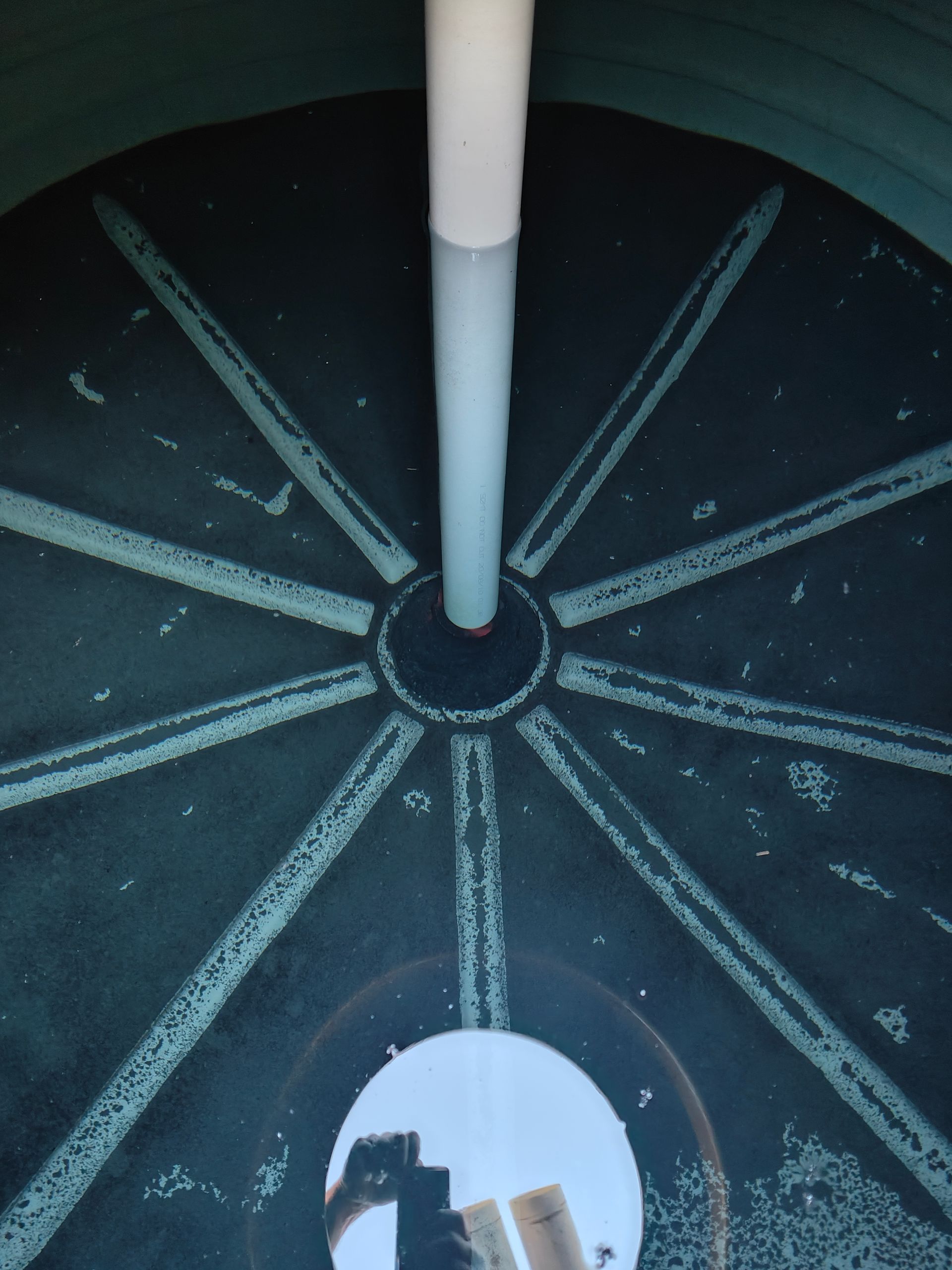 An interior view of a water tank that is covered in dirt and mould - Hastings Water Care in Port Macquarie NSW