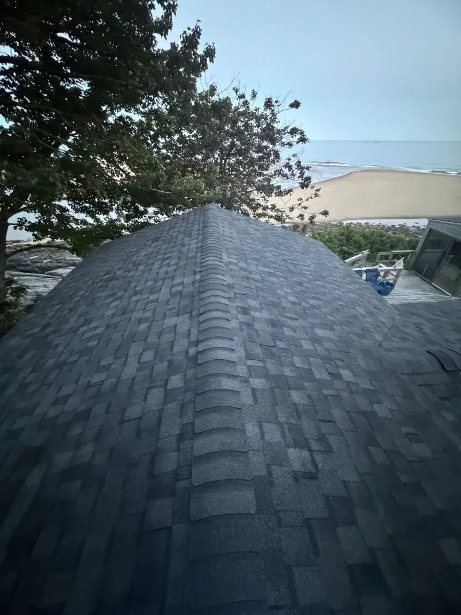 A roof with a view of the ocean and trees in the background
