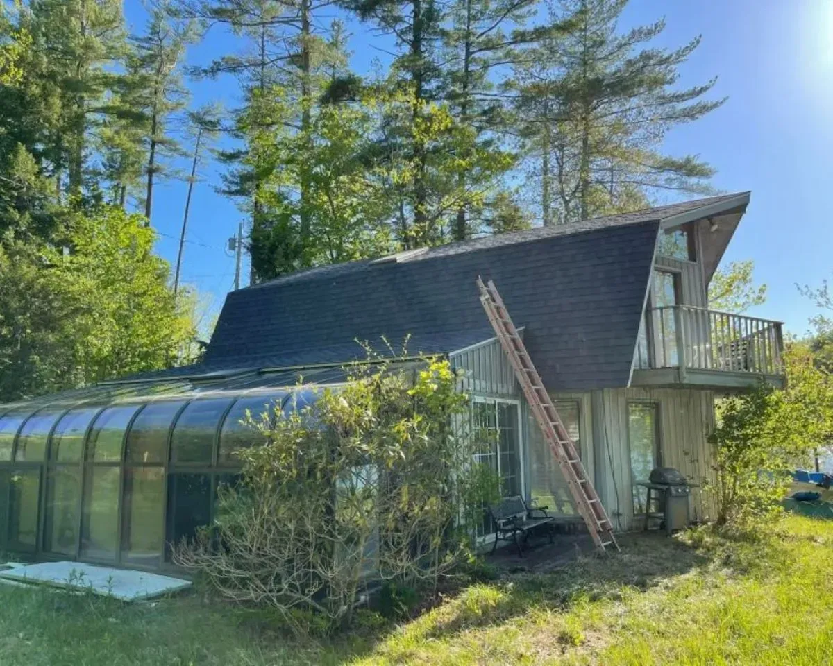 A house with a ladder on the side of it is surrounded by trees.