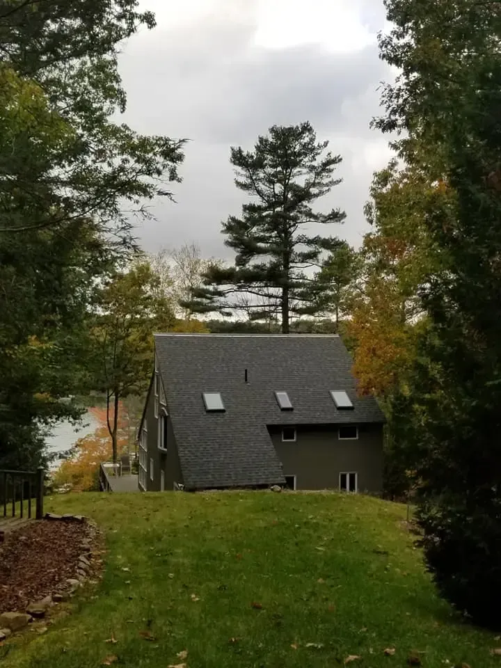 A house in the middle of a lush green field