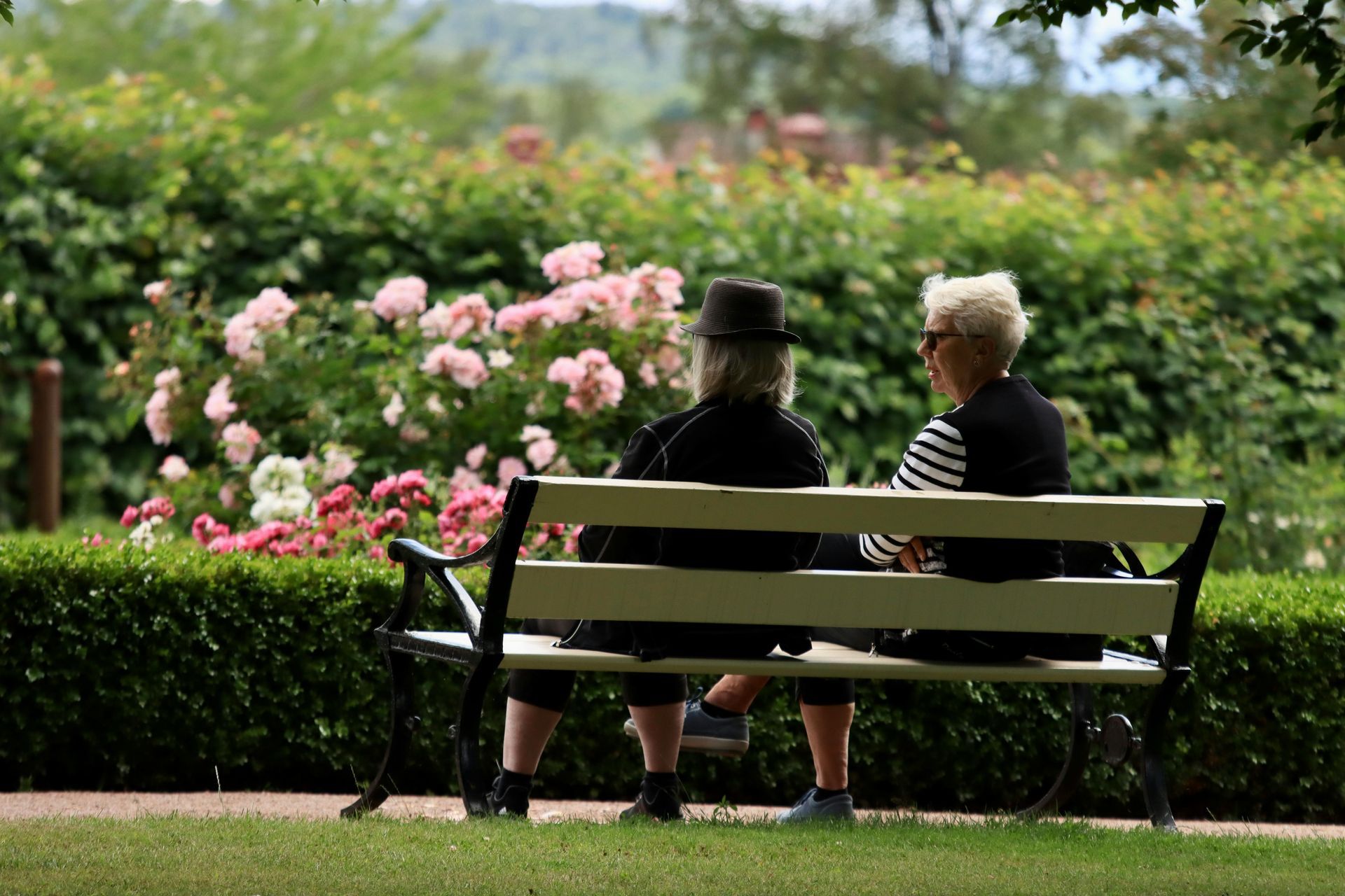 Two elderly residents sitting on a garden bench surrounded by blooming rose bushes