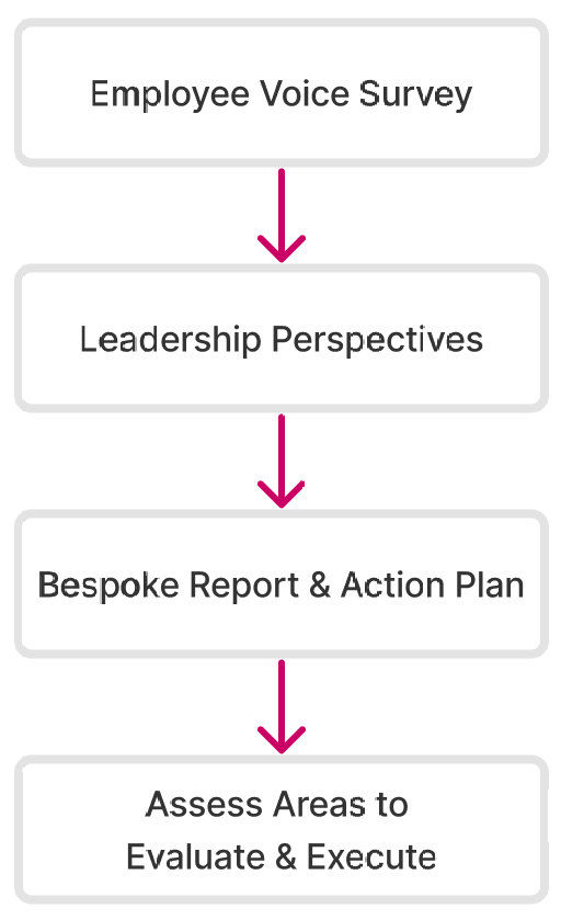 A diagram showing the steps of an employee voice survey