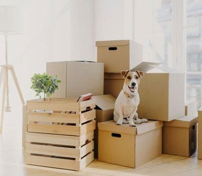 TRANSPORTE DE CARGA Y MUDANZAS HB - MANIOBRAS DE CARGA