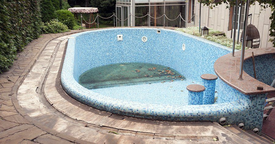 dried leaves in the pool
