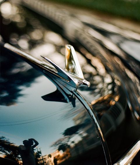 A close up of a car hood ornament with a bird on it