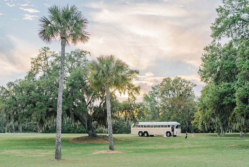 A white bus is parked in a grassy field surrounded by palm trees.