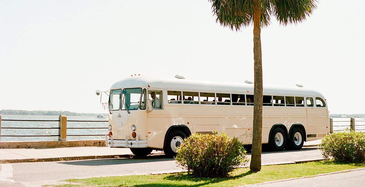 A white bus is parked on the side of the road next to a palm tree.