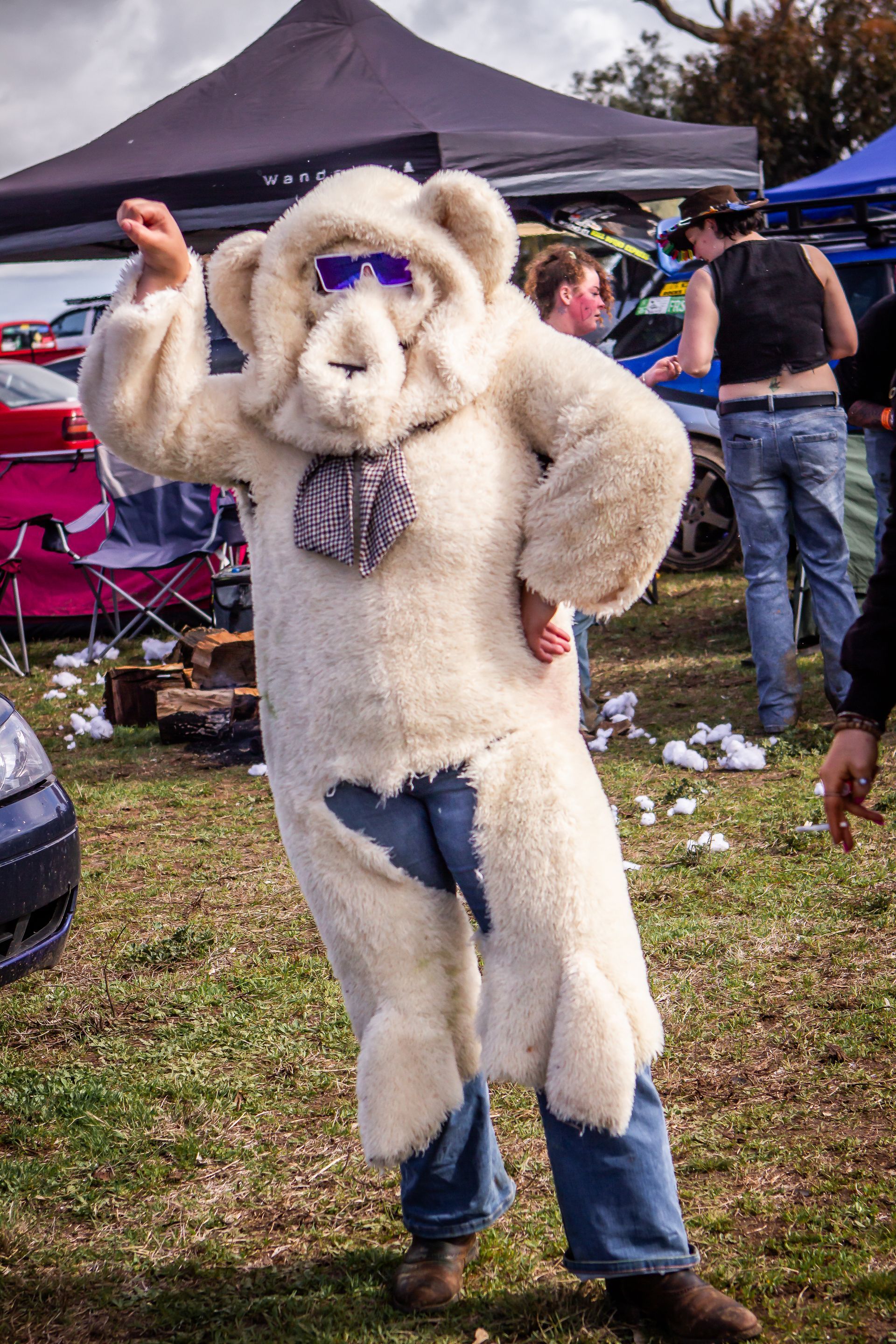 A man in a teddy bear costume is standing in the grass