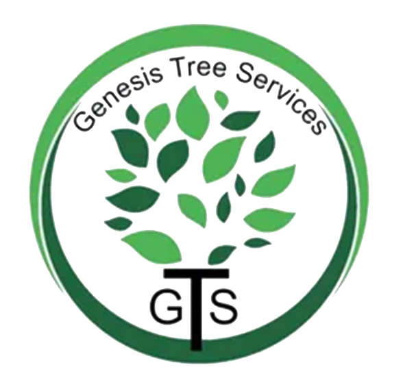 Genesis Tree Logo
