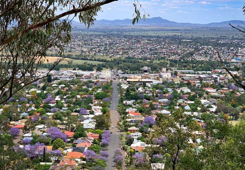 A View Of A City From A Hill With Purple Flowers In The Foreground — Tamworth Muffler Man In Tamworth, NSW
