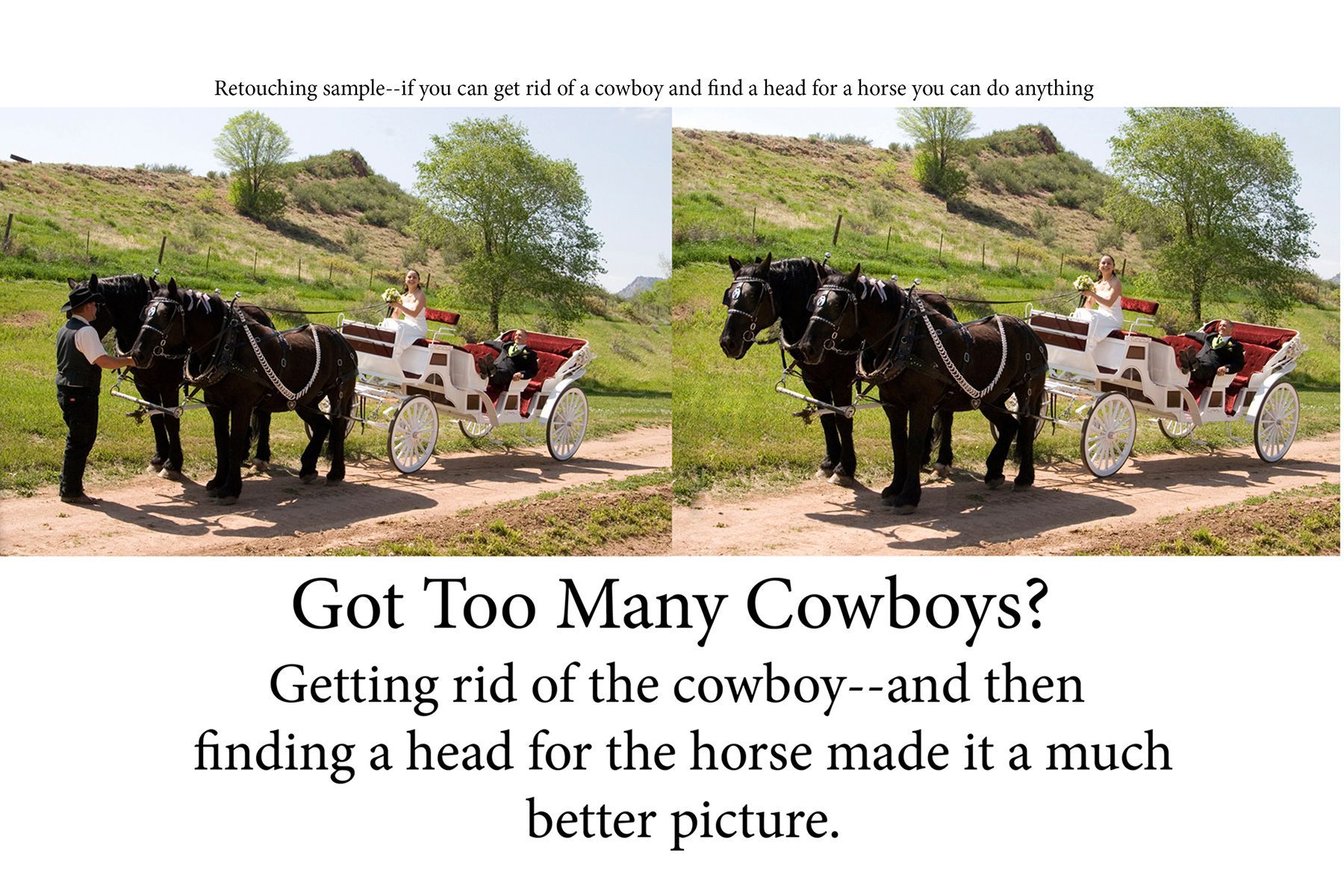 Two horses pulling a carriage with a caption that says got too many cowboys