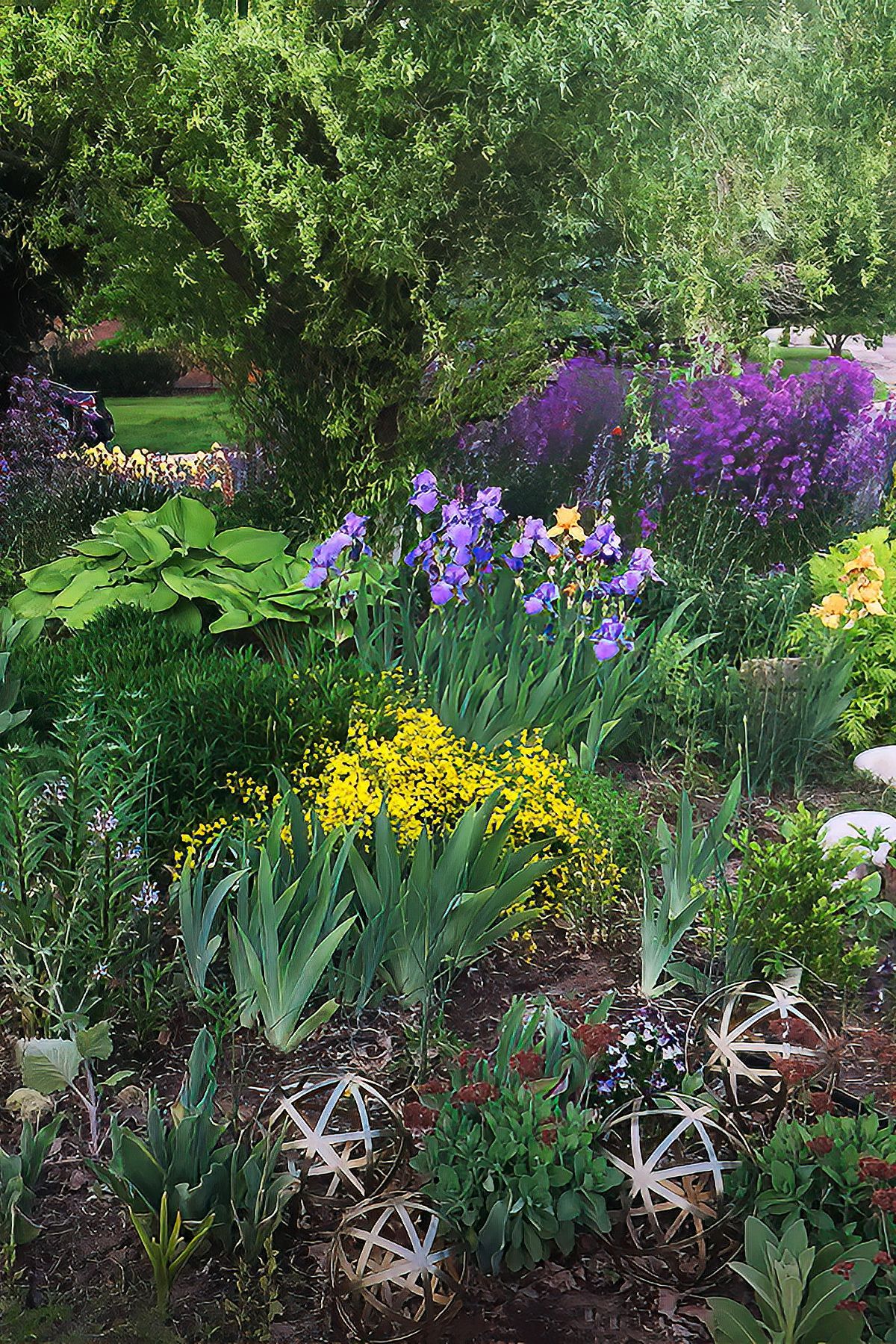 A garden filled with lots of different types of flowers and plants.