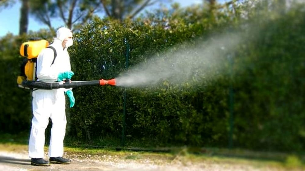 Un uomo con una tuta protettiva sta spruzzando una pianta con uno spruzzatore.