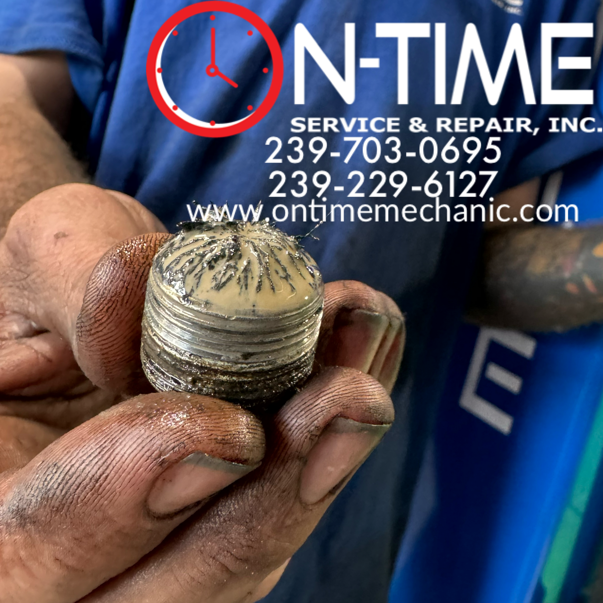 A person is holding a screw in their hands and the phone number is 239-703-0695