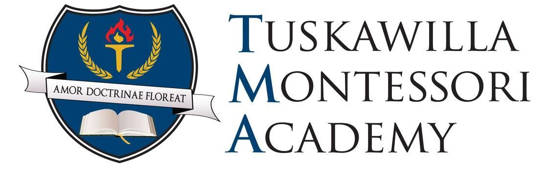 All-Pro Sustainable Professional Cleaning (APCCOrlando) - our work