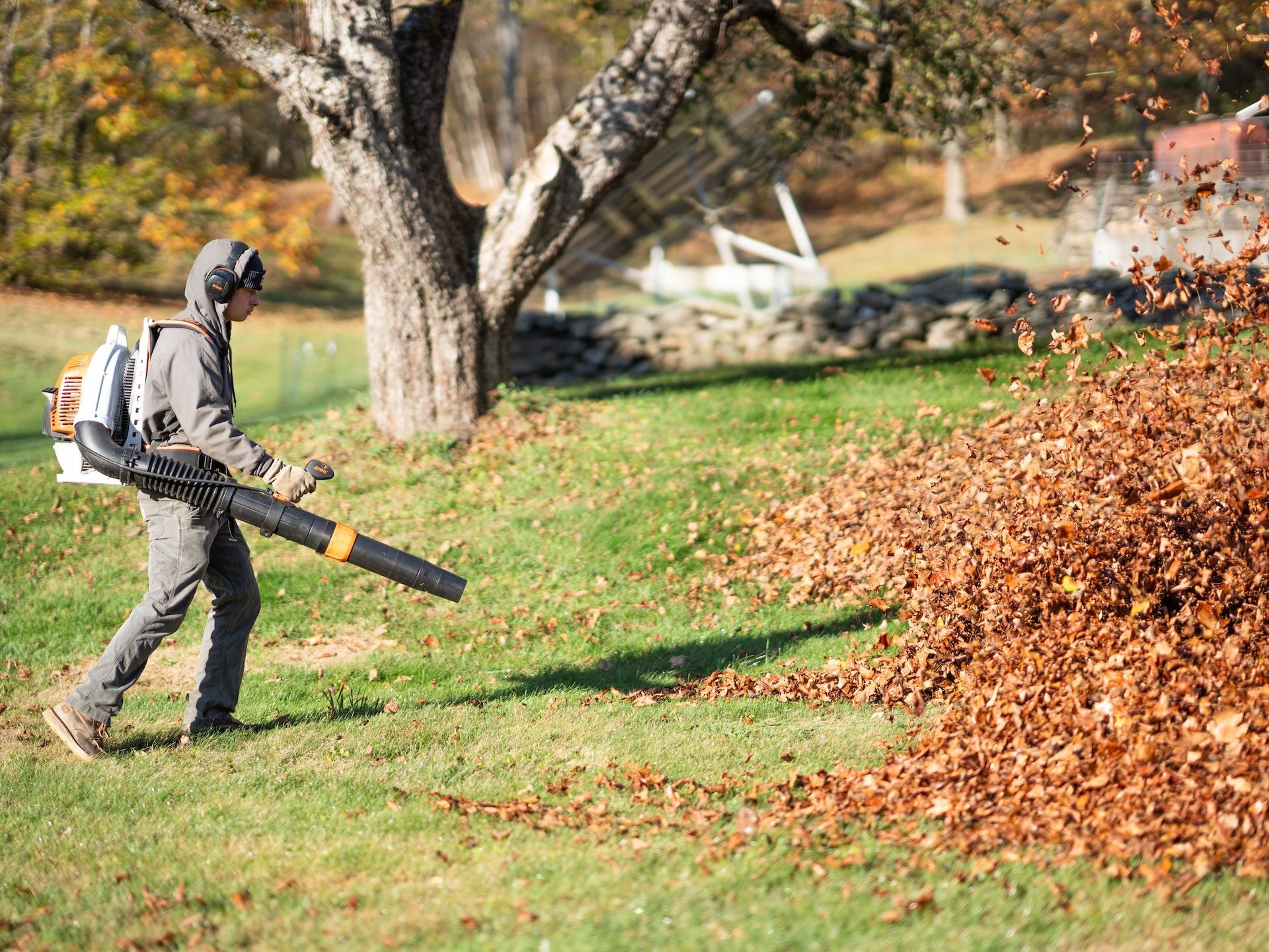 Person using a leaf blower to clear a large pile of autumn leaves on a grassy lawn