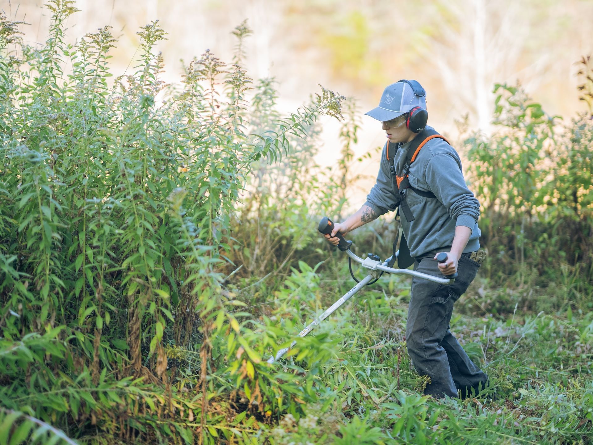 Person using a string trimmer to cut tall weeds in a grassy field