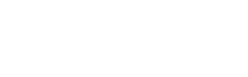Pioneer Property Services LLC Pioneer Property Services LLC